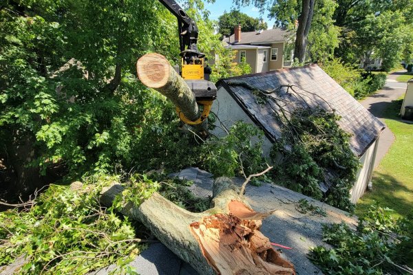 Emergency Tree Service Akron
