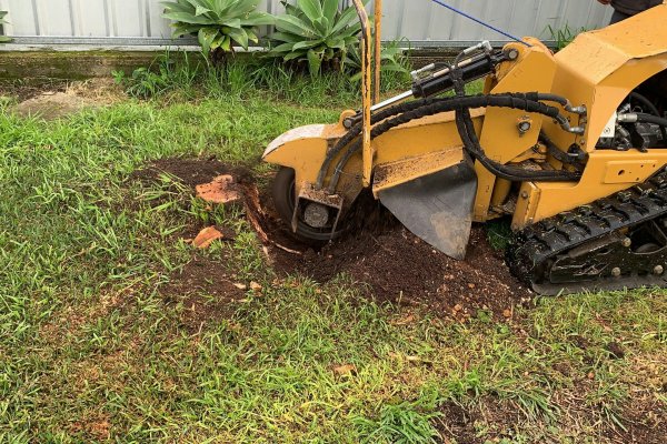 Stump Grinding Akron